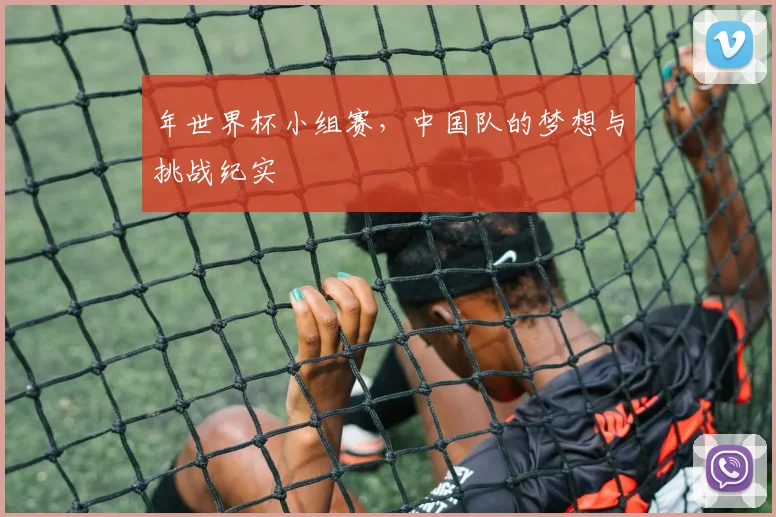 年世界杯小组赛，中国队的梦想与挑战纪实